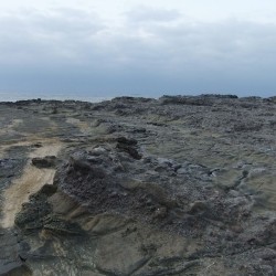  「田ノ浦」