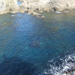 高島