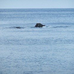 黒島のハナレ