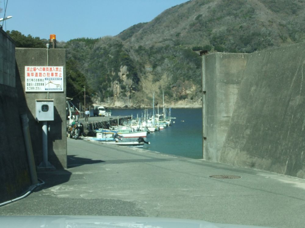 西伊豆 岩地港 の堤防はアオリイカの好ポイント しかし駐車場は遠い
