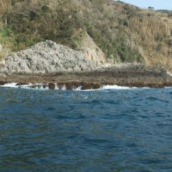 スズメ島