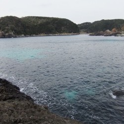  「田ノ浦」