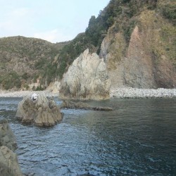 井田七島