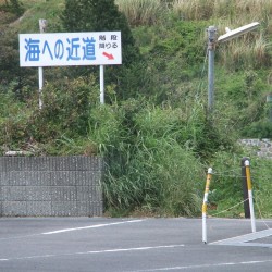 岩地