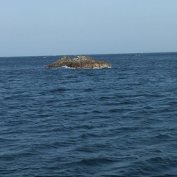 小根