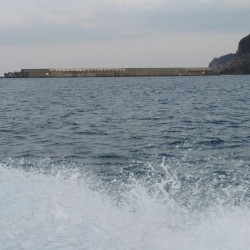 メラ・