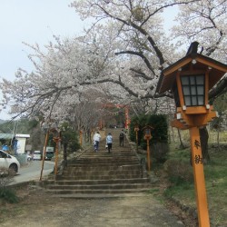 新倉山浅間公園