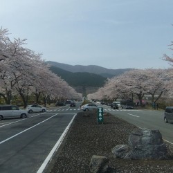 富士霊園