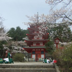 新倉山浅間公園