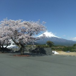 大石寺