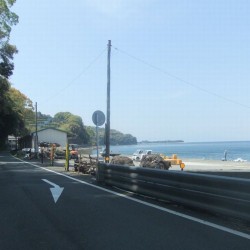 江梨