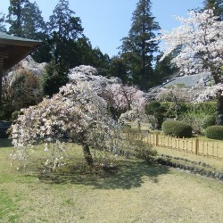 大石寺