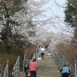  新倉山浅間公園