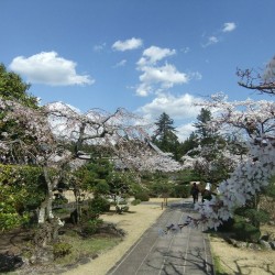 大石寺