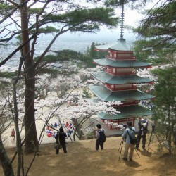 新倉山浅間公園