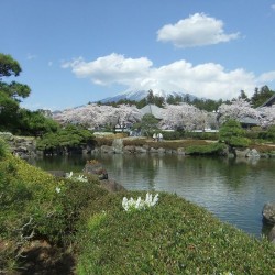 大石寺