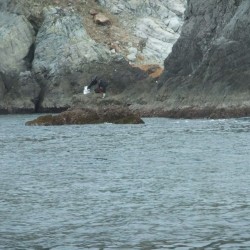 立島