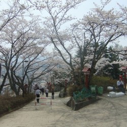 新倉山浅間公園