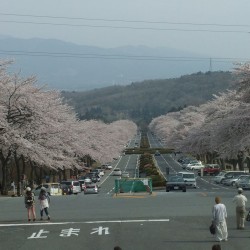 富士霊園