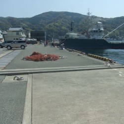 戸田港