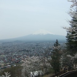 新倉山浅間公園