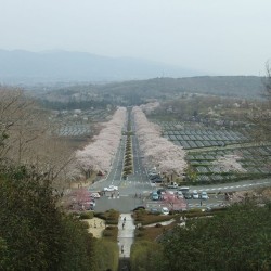 富士霊園 