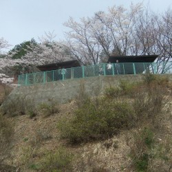 新倉山浅間公園