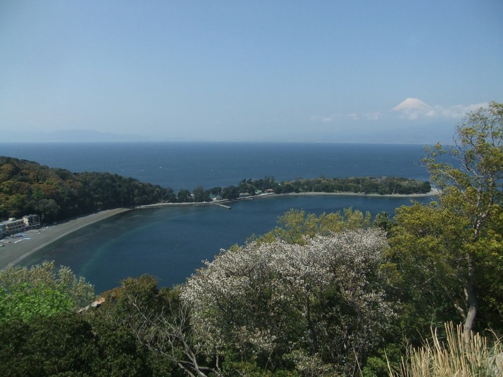 沼津市 大瀬崎 の釣り ヤリイカ アオリイカのポイント