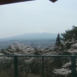 新倉山浅間公園