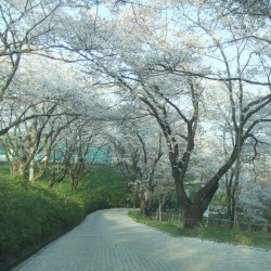 大法師公園