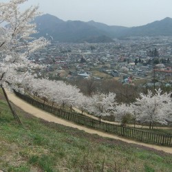  新倉山浅間公園