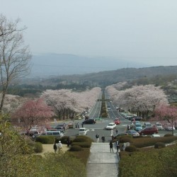 富士霊園