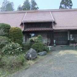 狩谷の下馬桜