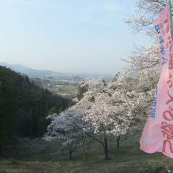 大法師公園