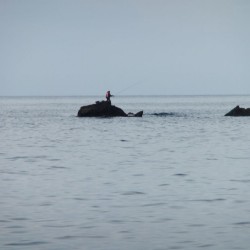 丸島