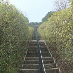 富士霊園 