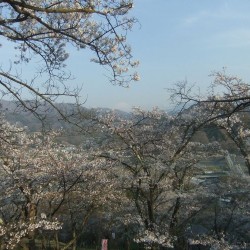 大法師公園