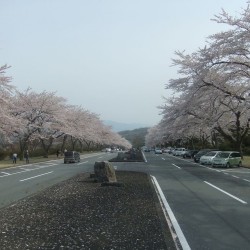 富士霊園