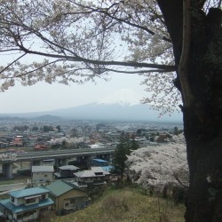 新倉山浅間公園