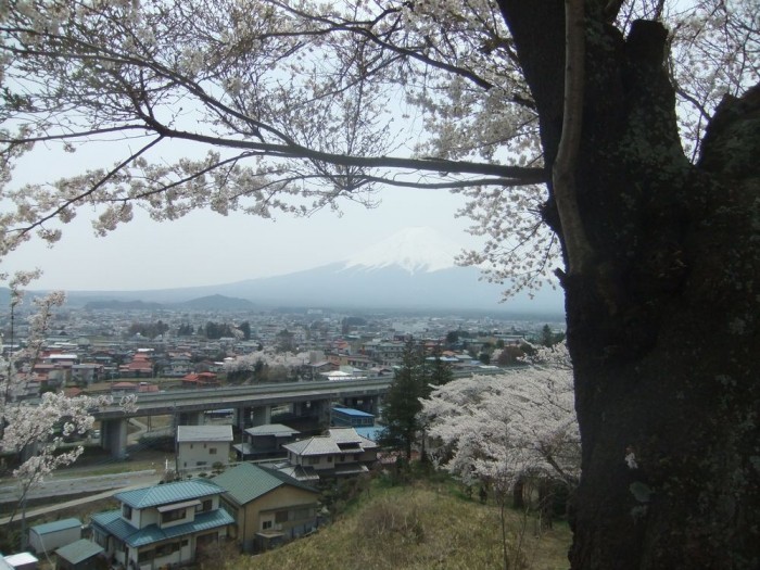 新倉山浅間公園