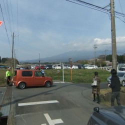 狩谷の下馬桜