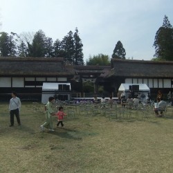 狩宿の下馬桜