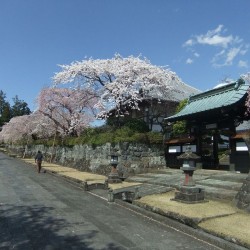 大石寺