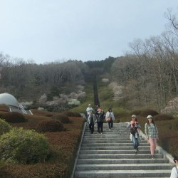 富士霊園