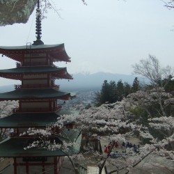 新倉山浅間公園