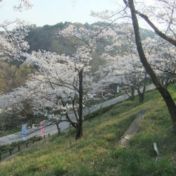 大法師公園