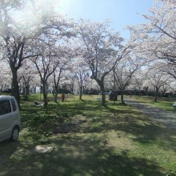 大石寺