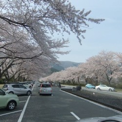富士霊園