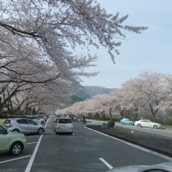 富士霊園