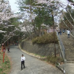  新倉山浅間公園